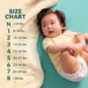 3ad253f6-9055-45e0-8333-873334063d82 Pampers Swaddlers Baby Diapers Size 5, 132 Count Leakproof Pack