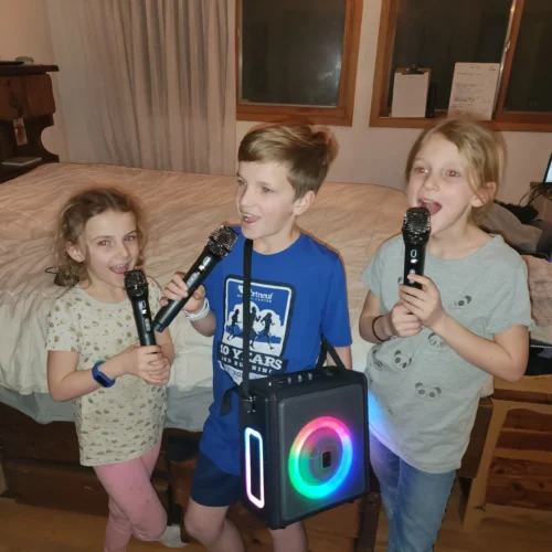 80178fe1-f897-4e84-94ac-f89df876f298 PPMIC 300W Retro Leather Karaoke Machine with 3 Microphones & Pitch Correction